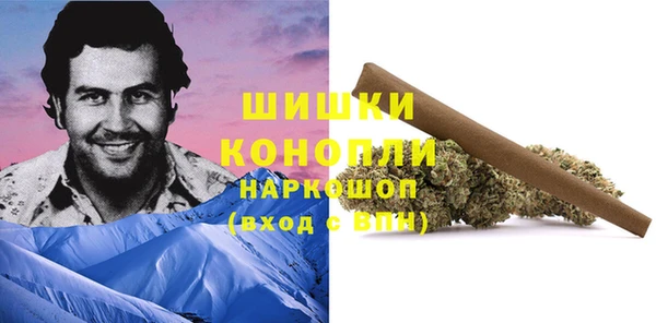 a pvp Магас