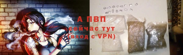 a pvp Магас
