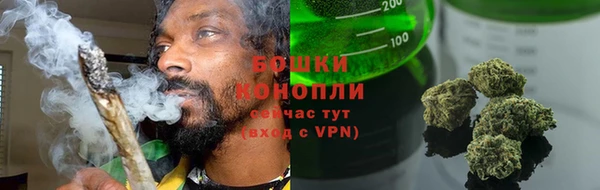 a pvp Магас