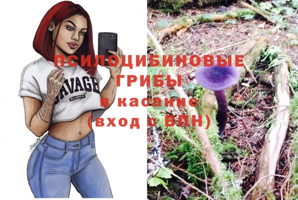 a pvp Магас