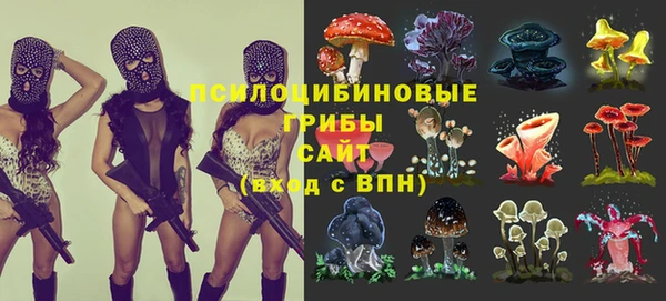 a pvp Магас